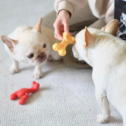 Juguete masticable para perros Nylabone Power Chew Lobster