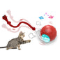 Giociv Interactive Cat Toys Ball for Indoor Cats