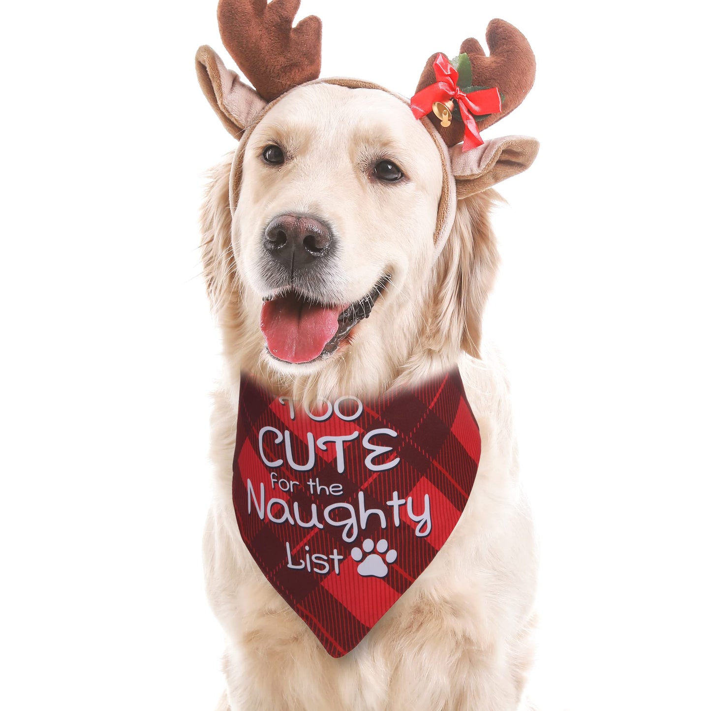 Earus Christmas Dog Bandanas Funny