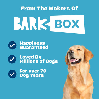 Barkbox 2 in 1 Interactive Plush Dog Toy