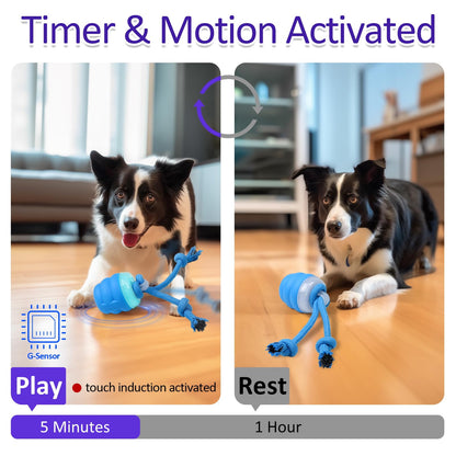 Juguetes interactivos para perros Giociv con activación por movimiento