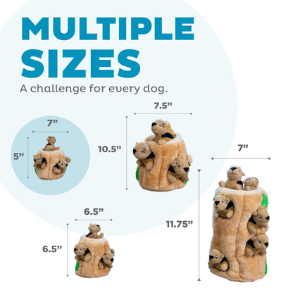 Outward Hound Hide A Squirrel Plush Dog Toy Puzzle