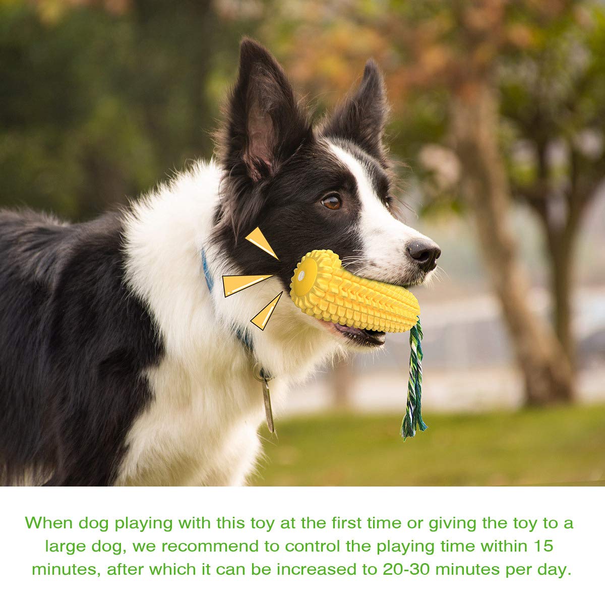 Carllg Dog Chew Toys for Aggressive Chewers