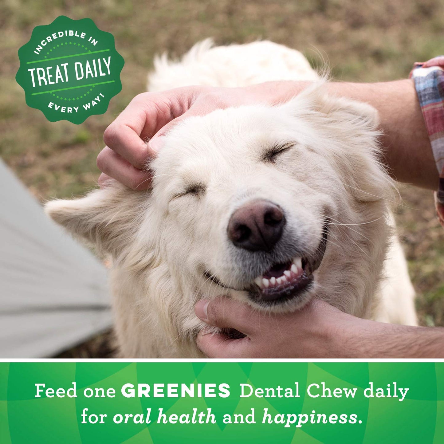 Greenies Original Teenie Natural Dental Care Dog Treats