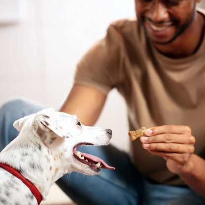 Mini galletas para perros con sabor a hueso de leche