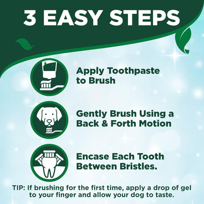 Vet's Best Dog Toothbrush & Enzymatic Toothpaste Kit