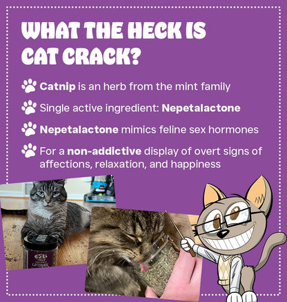 Cat Crack Catnip