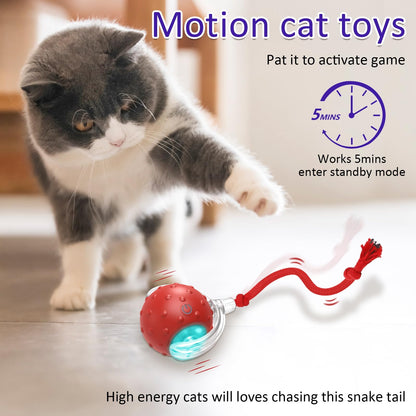 Giociv Interactive Cat Toys Ball for Indoor Cats