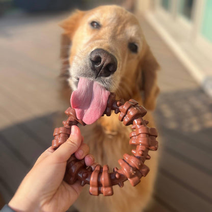 Juguete masticable con forma de anillo para perros Nylabone Power Chew con textura