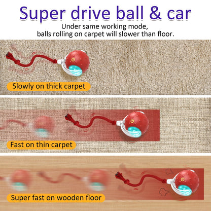 Giociv Interactive Cat Toys Ball for Indoor Cats