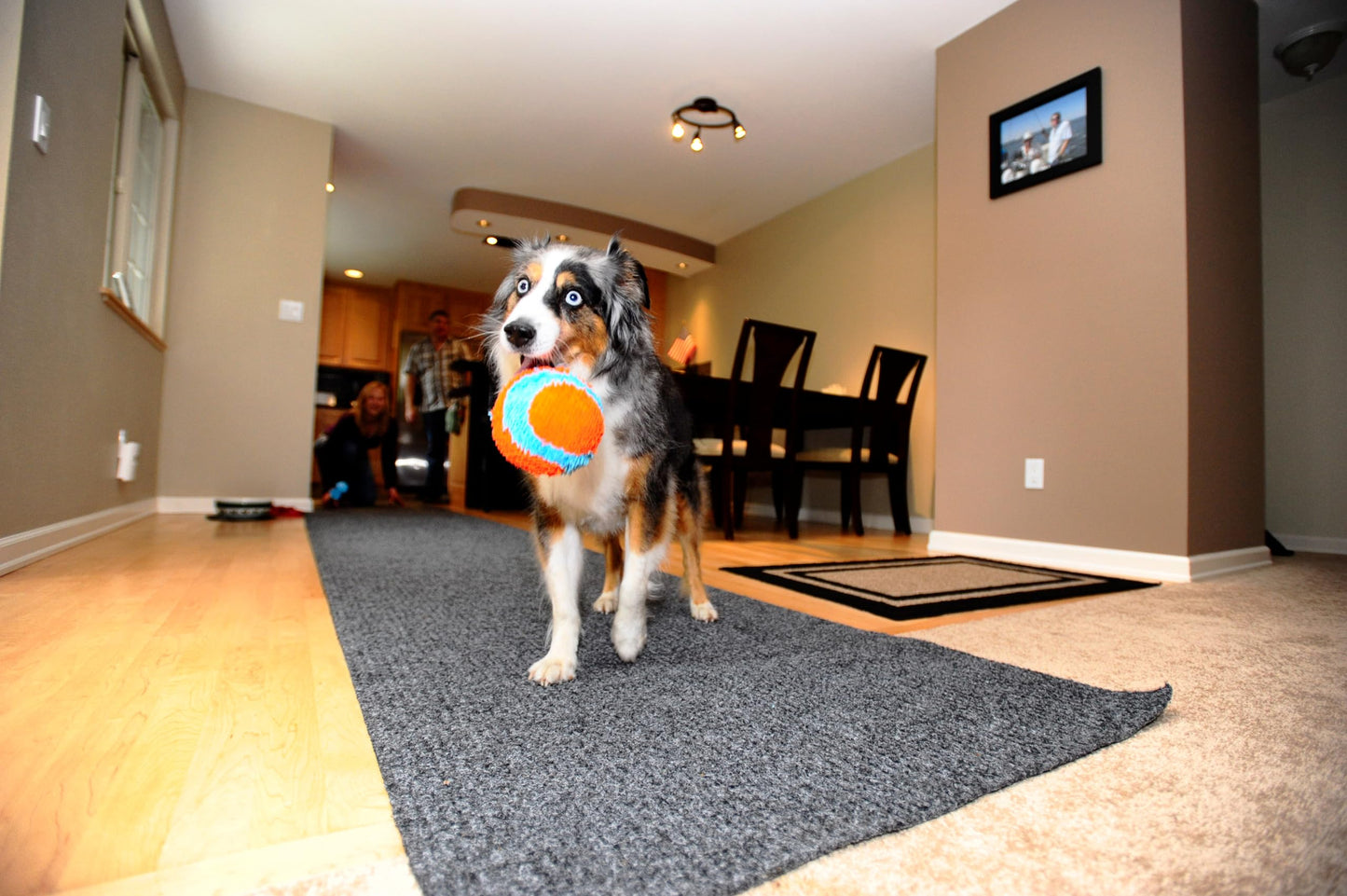 Chuckit! Indoor Fetch Ball Dog Toy - Soft Ball for Dogs