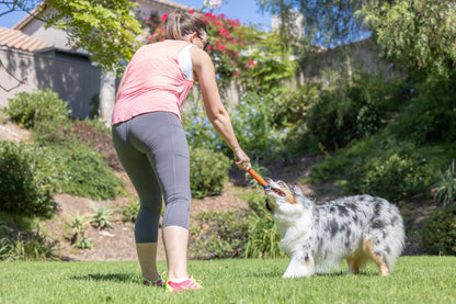 Chuckit! Ultra Fetch Dog Stick for All Breed Sizes