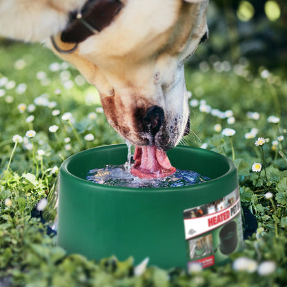 Farm Innovators Electric Powered Heated Pet Water Bowl