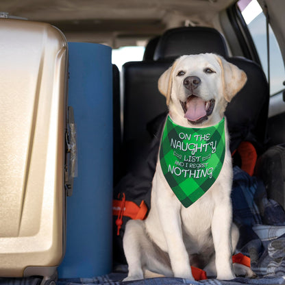 Earus Christmas Dog Bandanas Funny