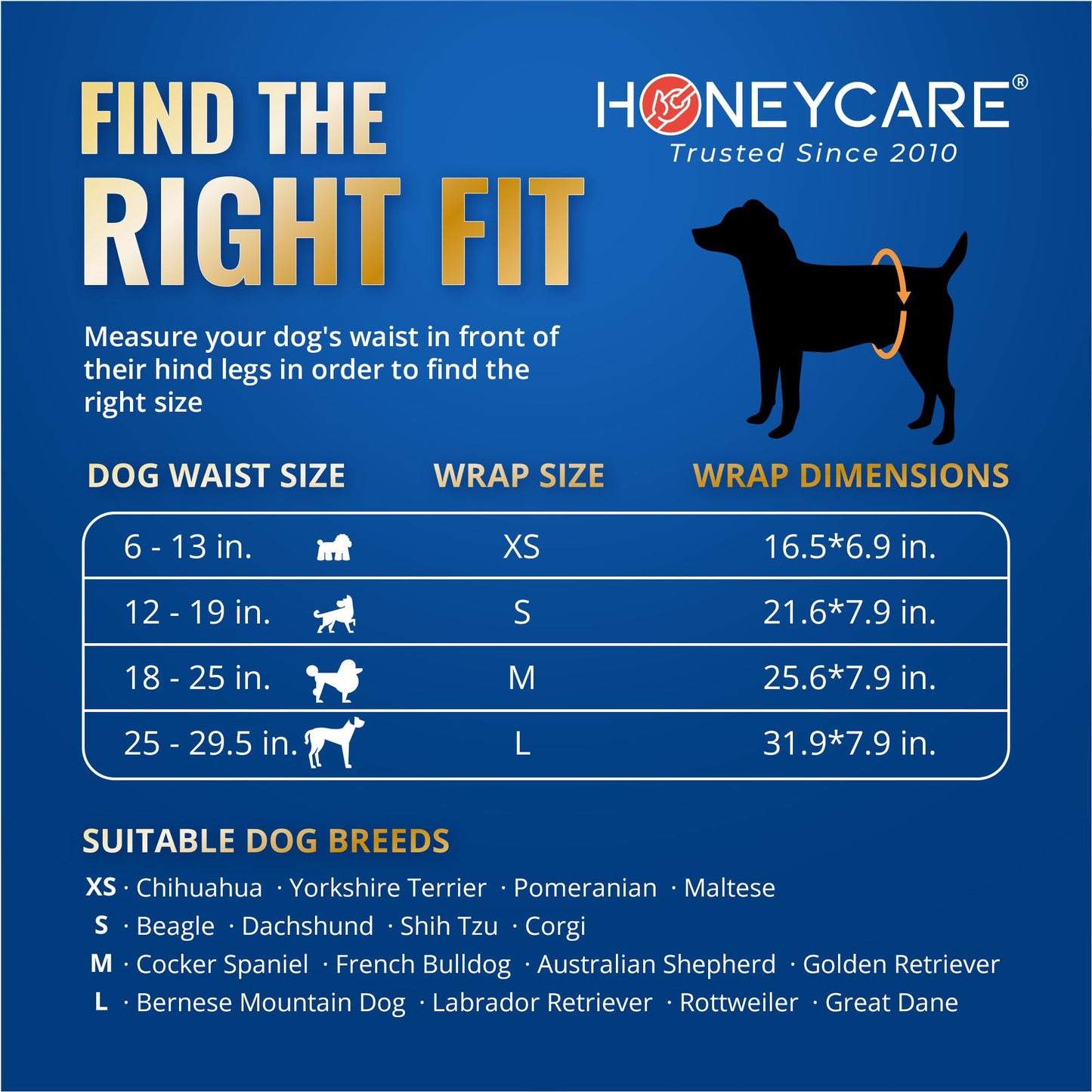 Envoltura para perros machos HONEY CARE All-Absorb A26