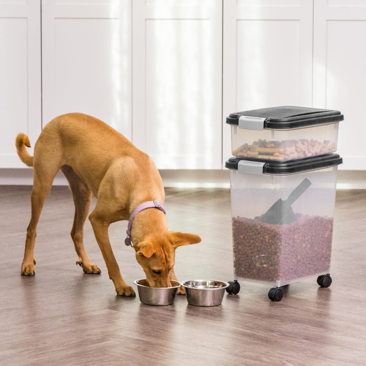 Contenedor de almacenamiento de alimentos para perros IRIS USA