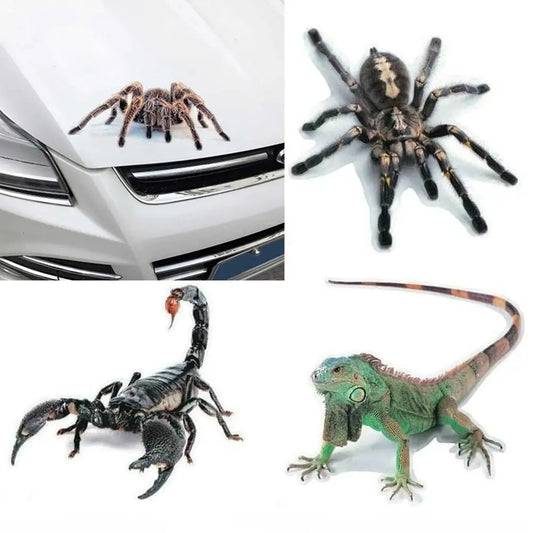 3D Spider Lizard Scorpion Car Sticker