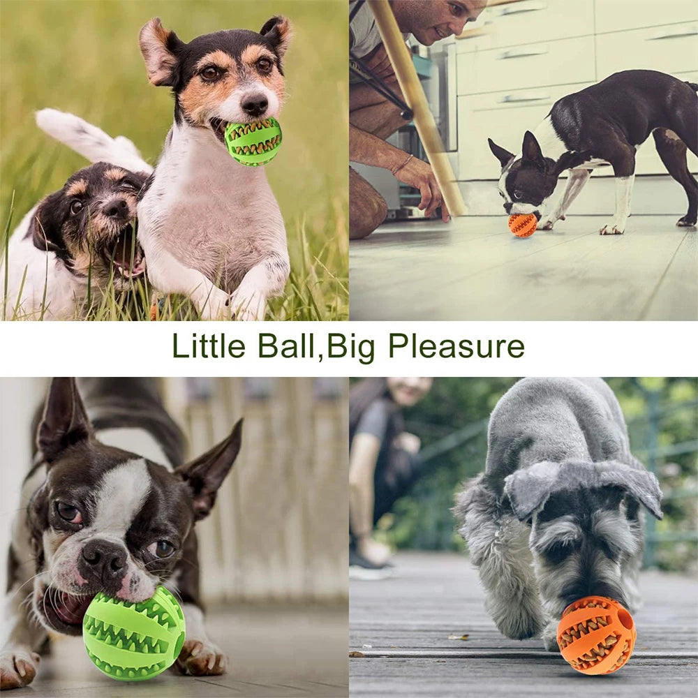 Dog Toy Interactive Rubber Balls