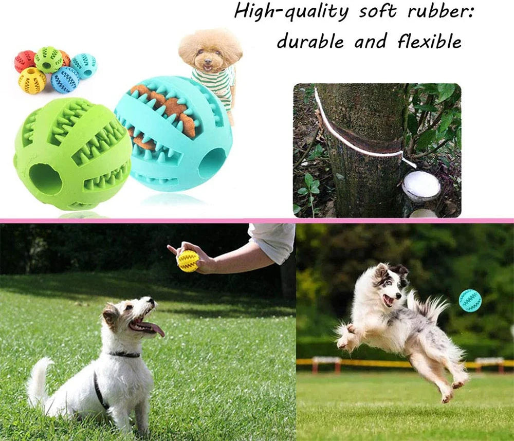 Dog Toy Interactive Rubber Balls