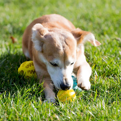 Dog Toy Interactive Rubber Balls