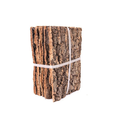 Driftwood Climber Reptile Bark