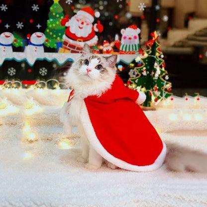 Cat Costume Santa Cosplay