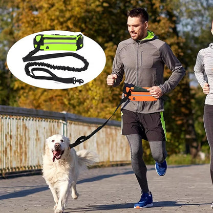 Hands Free Dog Leash for Running Walking Reflective Leash