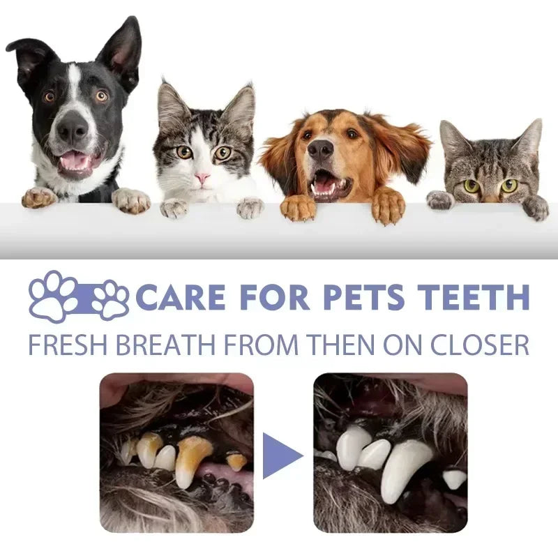 Pet Teeth Cleaning Spray Oral Care Remove Tooth Stains