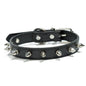 Harp Spiked Studded Leather Dog Collars