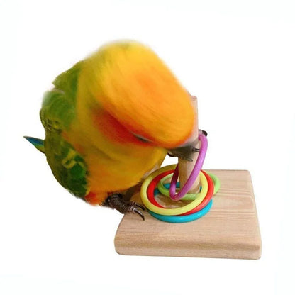 Bird Training Ring Toy Parrot Educational Toys