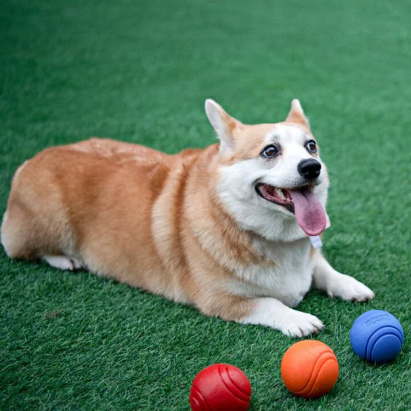 Solid Bite-Resistant Chewing Toy Ball for Pet Dog