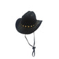 Pet Dog Star Cowboy Hat