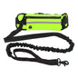 Hands Free Dog Leash for Running Walking Reflective Leash