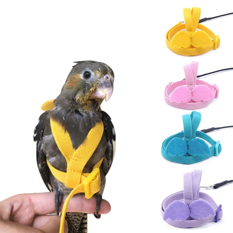 Parrot Flying Harness Leash Flight Training