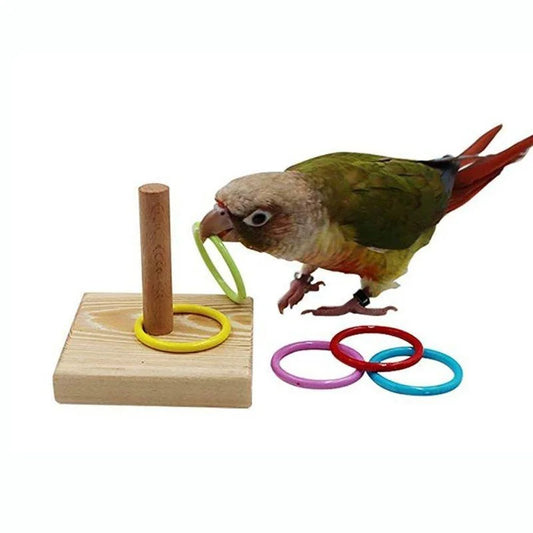 Bird Training Ring Toy Parrot Educational Toys