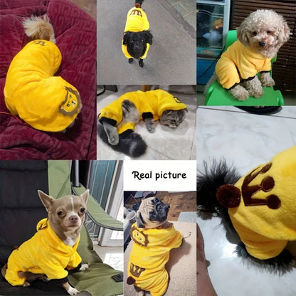 Dog Cat Dinosaur Outfit Pet Hoodies