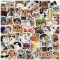 Cat PVC Stickers