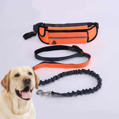 Hands Free Dog Leash for Running Walking Reflective Leash