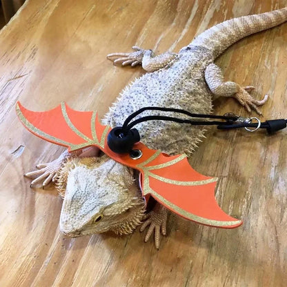 3 Pcs Adjustable Bearded Dragon Leash