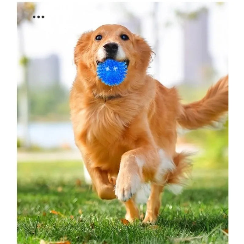 Bite-proof pet chew balls