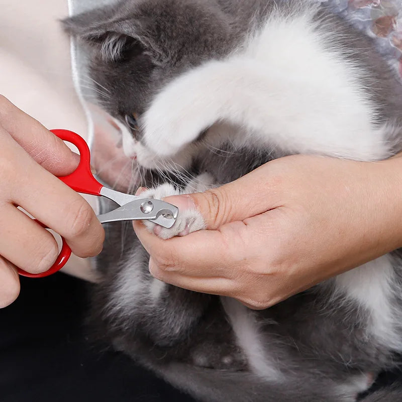 Cat Nail Scissors Pet Dog Nail Clippers