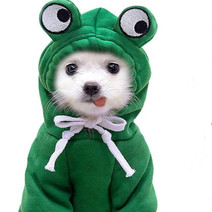 Adorable Green Frog Dog Sweater