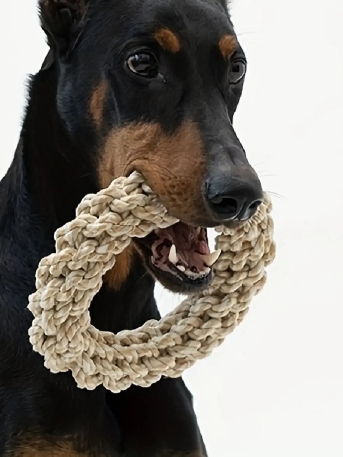 Pet Dog Rope Toy Durable Chew Bite Resistant