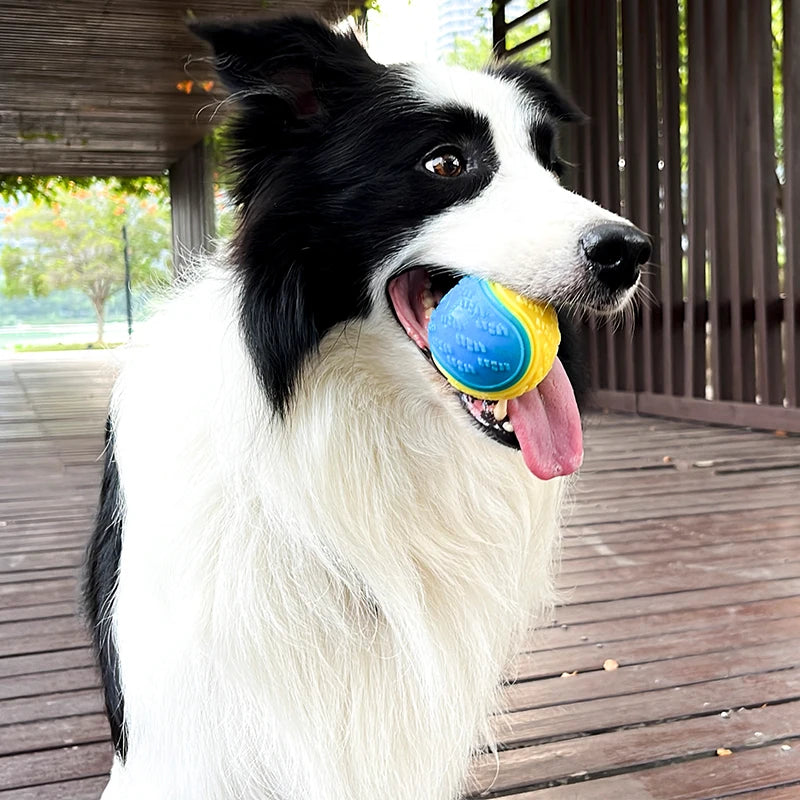 Pelota interactiva con sonido para perros