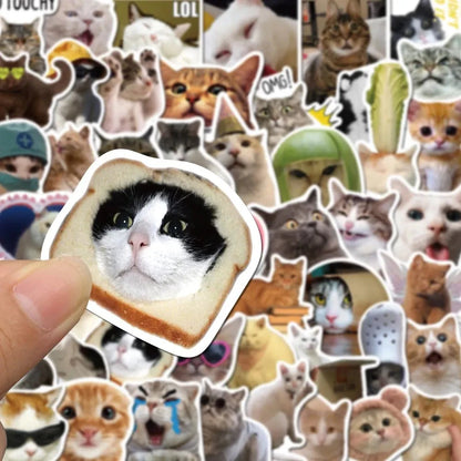 Cat PVC Stickers