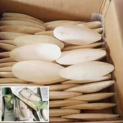 Bird Cuttlebone Toy 10pcs Chewing Cuttlefish Bone