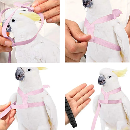 Parrot Flying Harness Leash Flight Training