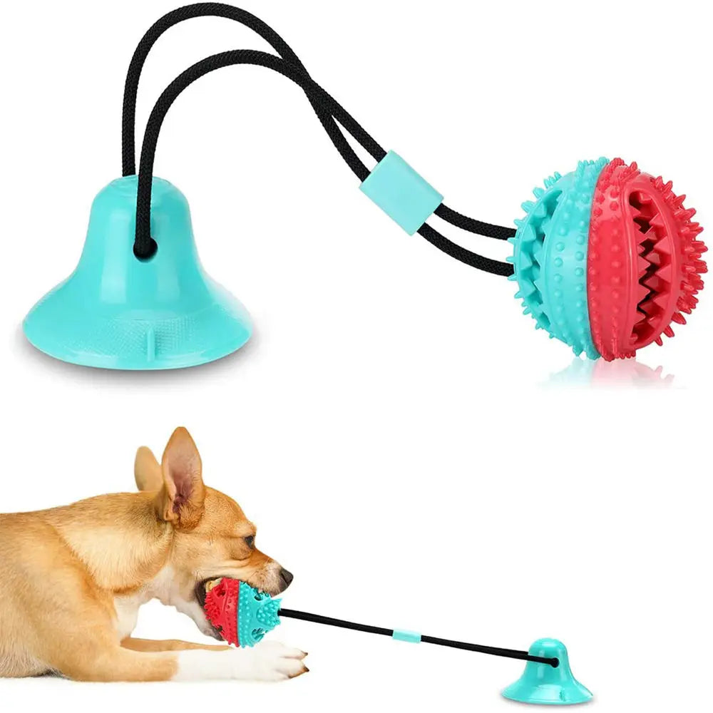 Pelota de juguete para perros con ventosa y cuerdas interactivas