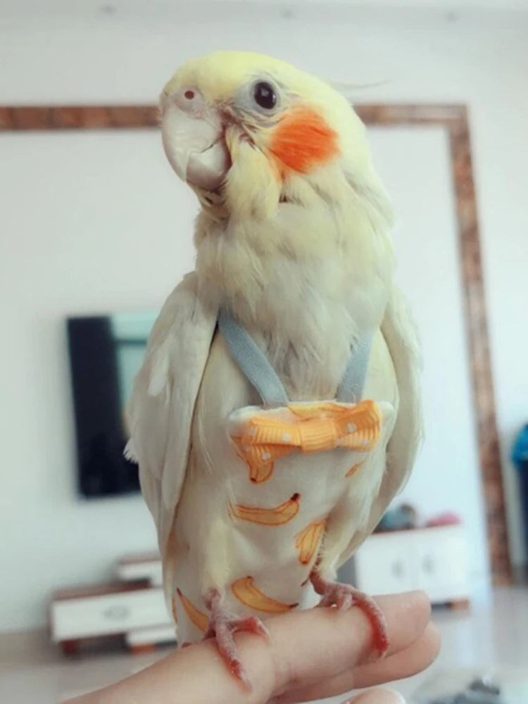 Parrot Diaper with Bowtie Cute Colorful Fruit Floral