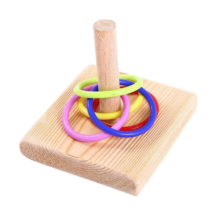 Bird Training Ring Toy Parrot Educational Toys